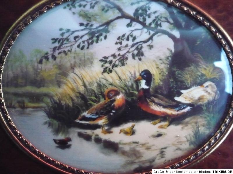 Picture__Miniature painting  magnifying miniature painting__haffke painting__Ducks__magnifying glass glass