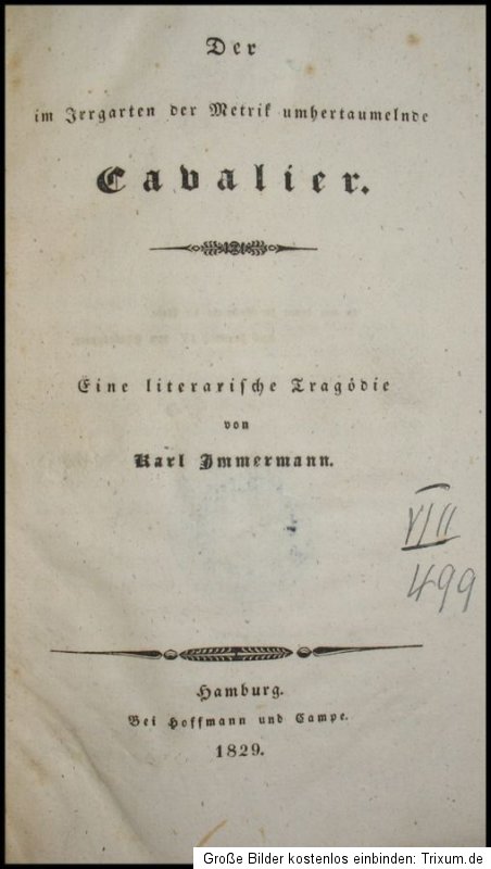 1829 Immermann Karl Platen Der im Irrgarten der Metrik umhertaumelnde