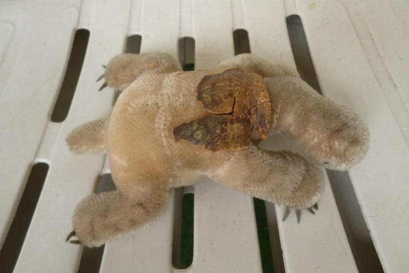 kleine Schildkröte turtle slo Steiff, ohne Panzer, beschädigt eBay kleine Schildkröte turtle slo Steiff, ohne Panzer, beschädigt eBay