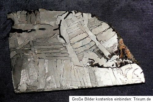 Sehr schöne Scheibe Meteorit Pallasit Seymchan m. Troilit, 67x45x3mm